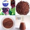 Grape Seed Extract, Proanthocyanidins